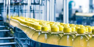 Food Safety Consultation / Audit